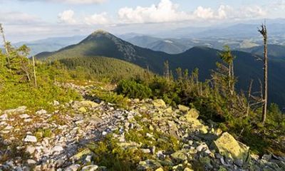 Wild Carpathians: discovering Gorgany (private tour)