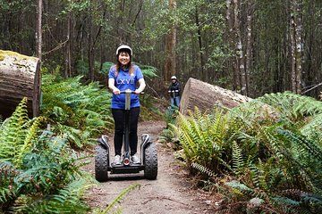 Launceston: Hollybank Treetops Adventures - Segway Tour
