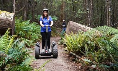 Launceston: Hollybank Treetops Adventures - Segway Tour