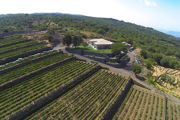 Etna Wine Tour by Land Rover from Taormina
