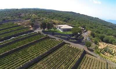Etna Wine Tour by Land Rover from Taormina