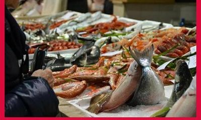 Local Market Tour and Dining experience at a local's home in Ascoli Piceno