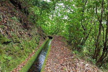 Madeira: Private Guided Levada dos Tornos Boaventura Hike