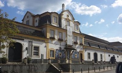 Private Tour - Arrábida and Sintra Wine tour