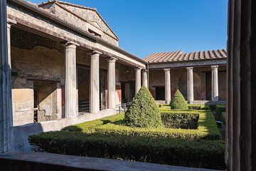Private Herculaneum Guided Tour from Positano