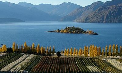 Wanaka Wine Tours - Boutique Tour