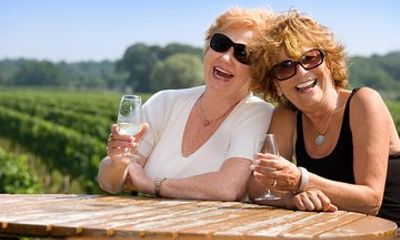 Wanaka Wine Tours - Classic Tour