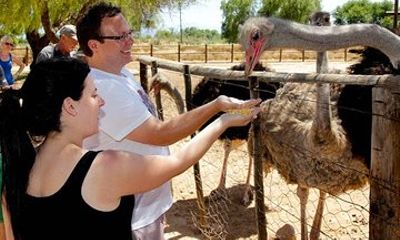 Skip the Line: Highgate Ostrich Farm Tour Ticket