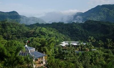 Skip the Line: Vallarta Botanical Garden Admission Ticket