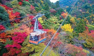 Autumn Leaves in Kobe: Boat Cruise and Ropeway (from Kyoto)