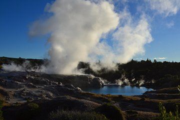 7 Hours Te Puia Rotorua Tour from Tauranga with Concert