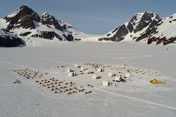 Juneau Helicopter and Dogsledding with Added Glacier Landing