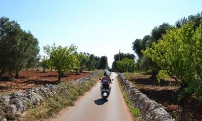 Valle D'Itria Vespa Tour