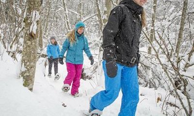 Snowshoeing Tour in Jacques-Cartier National Park