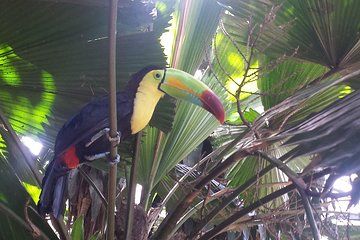 City Tour Villahermosa