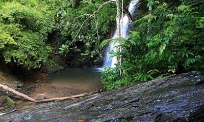 Private Tour: Full Day Langkawi Durian Perangin Waterfall Nature Tour Including ATV Adventure