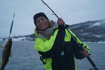 Fishing Trip with Luxury Catamaran in Tromso