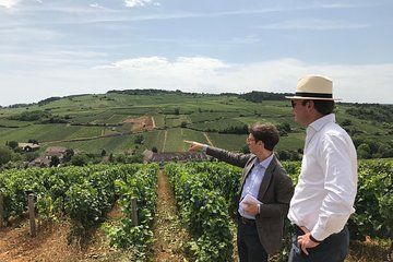 Private full day tour in Burgundy : Historic & Wine Journey
