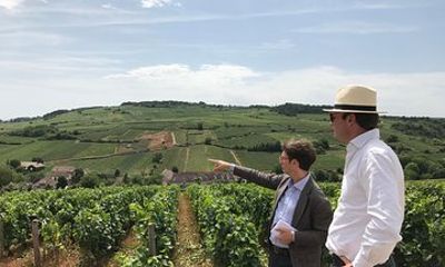 Private full day tour in Burgundy : Historic & Wine Journey