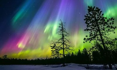 Lakeside Private Traditional Sauna with Aurora Borealis