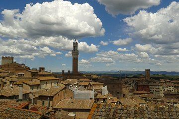 Private Tour: Siena Walking Tour