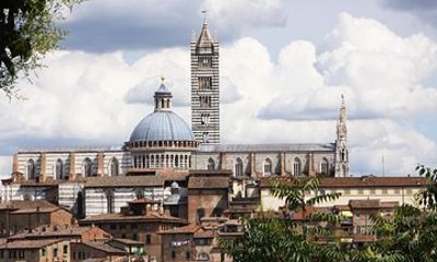 Private Tour: Siena Walking Tour