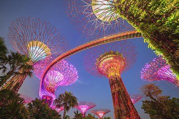 Gardens By the Bay Ticket & Transfer