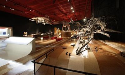 Coal & Fossil Museum Admission Ticket