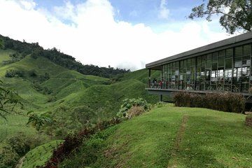 2 Days 1 Night Cameron Highlands, Ipoh, Cave & Kellie's Castle