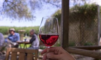 Clare Uncorked