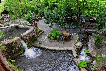 Private Sapanca and Masukiye, Kartepe Tour from Istanbul