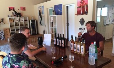 Half day wine tour. Private tour from Carcassonne and around.