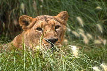 Terra Natura Benidorm Entrance Ticket