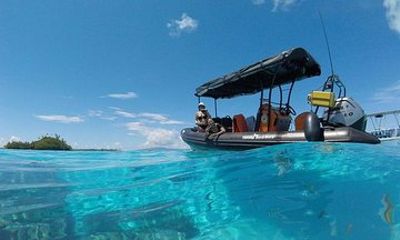 Tohora Bora Bora Snorkeling Lagoon Tours