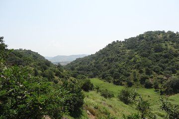 Udaipur - Private Excursion Tour to Kumbhalgarh