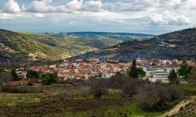Vino Venture: Explore With A Local - Troodos Mountains thru Wine!