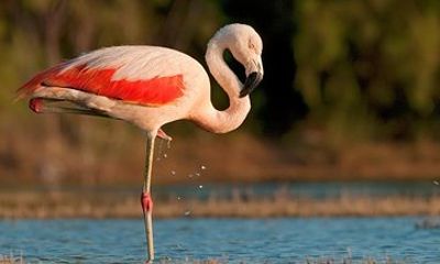 Full-Day Tour to Laguna de los Pozuelos from Tilcara