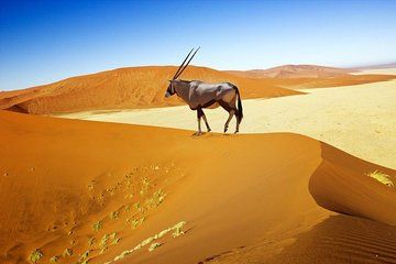 4 Day Sossusvlei Experience (Lodging)