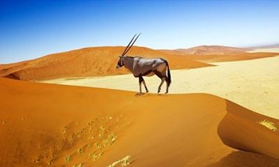 4 Day Sossusvlei Experience (Lodging)