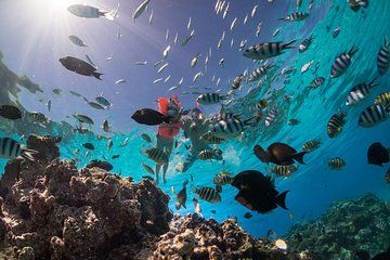 Keishi Tour Half Day Shared Excursion