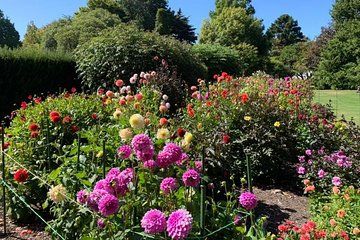 Christchurch 4Hrs HalfDay Tour