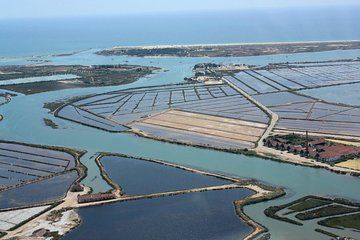 Octopus Route: Half Day Boat Trip