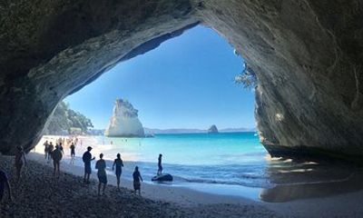 Private Cathedral Cove & Hot Water Beach Day Trip from Auckland