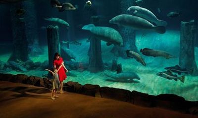 River Wonders Free & Easy