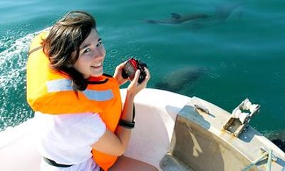 Dolphin Watching from Cabanas de Tavira