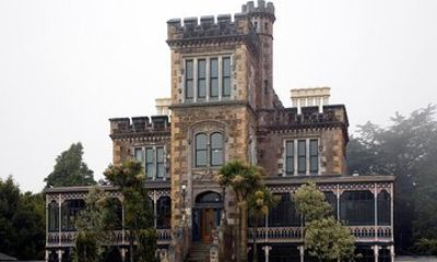 Dunedin Onshore Cruise Group Tour