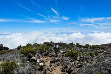 Hiking: On the ramparts of Mafate, the Maïdo