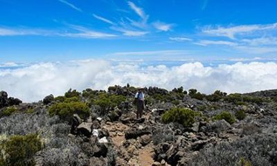Hiking: On the ramparts of Mafate, the Maïdo
