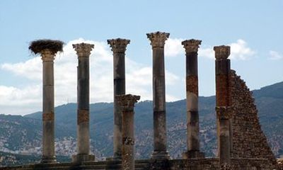 Volubilis and Meknes: Private 8-hour excursion from Meknes Hotel pick up