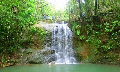 Private Suva Nature and Waterfall Tour